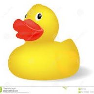 SirQuacksAlotz