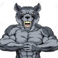 wolfcrack73