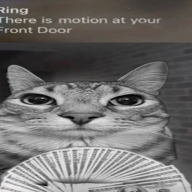 mtndone