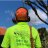 Tree Removal North Shore
